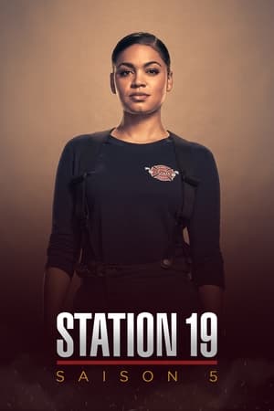 Grey's Anatomy : Station 19