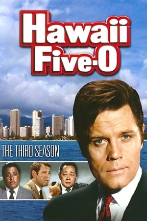 Hawaï police d'État
