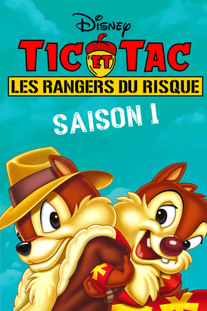 Tic et Tac, les rangers du risque